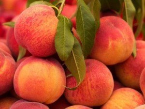 Las propiedades del durazno en la nutrición | La Guía de las Vitaminas