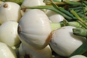 Para que sirve la cebolla, como diurético Para que sirve la cebolla, como diurético