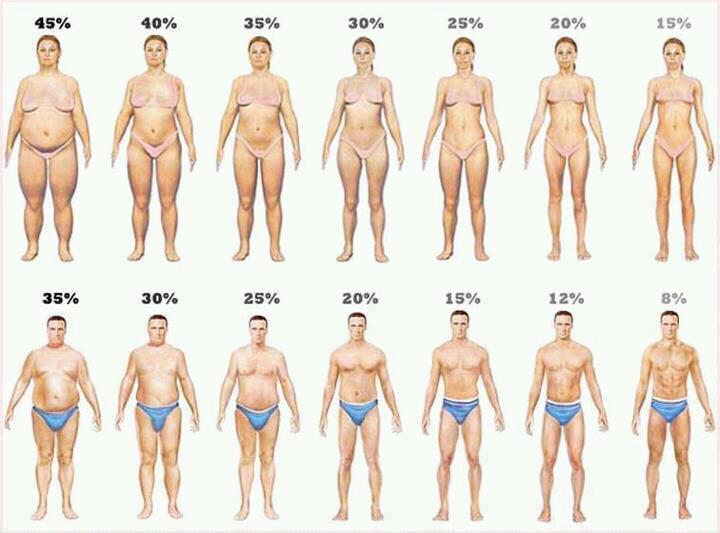 que suplementos tomar para quemar grasa y ganar musculo Realidad, aconsejable que suplementos tomar para quemar grasa y ganar musculo esta