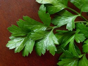Guía de las verduras, Perejil | La Guía de las Vitaminas