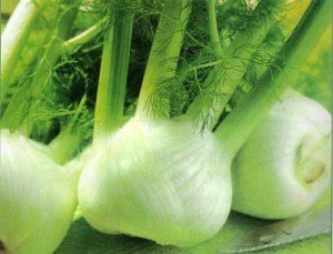 Guía de las verduras, Hinojo | La Guía de las Vitaminas