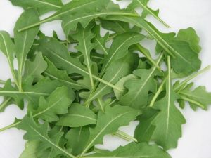 Guía de las verduras, Rúcula | La Guía de las Vitaminas