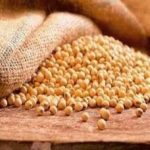 alimentos altos en hierro soya