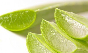 Aloe-Vera-propiedades