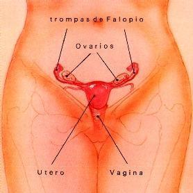 Hacer la máscara apretar la cutis
