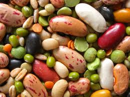 Proteínas vegetales