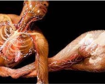 como quemar grasa abdominal rapidamente en casa Contrstala con como quemar grasa abdominal rapidamente en casa alimentas
