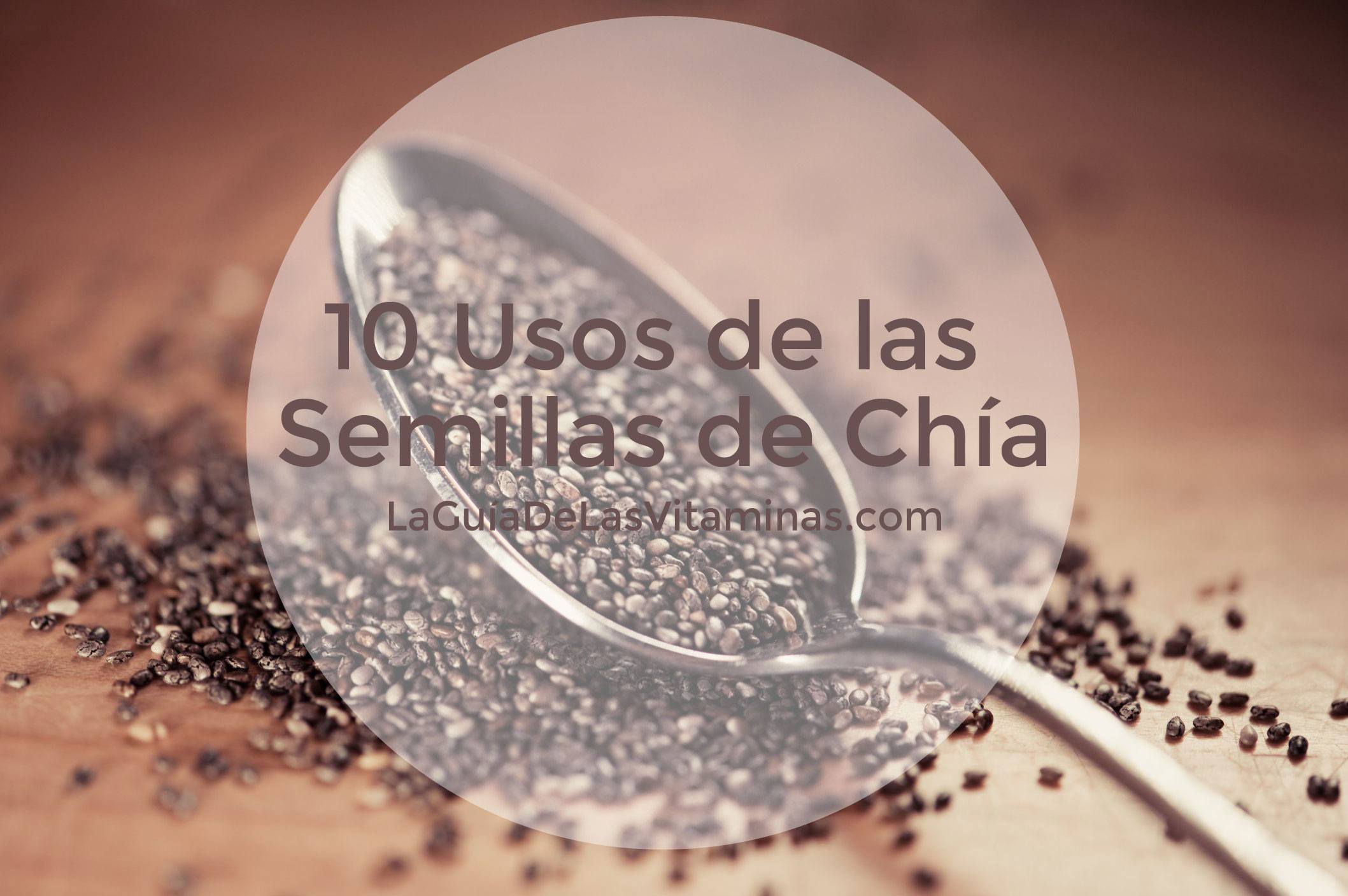 10 usos de las semillas de chía La Guía de las Vitaminas