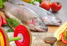 Dieta Para Adelgazar 5 Kilos En 3 Días (Es Segura) Dieta Para Adelgazar 5 Kilos En 3 Días (Es Segura)