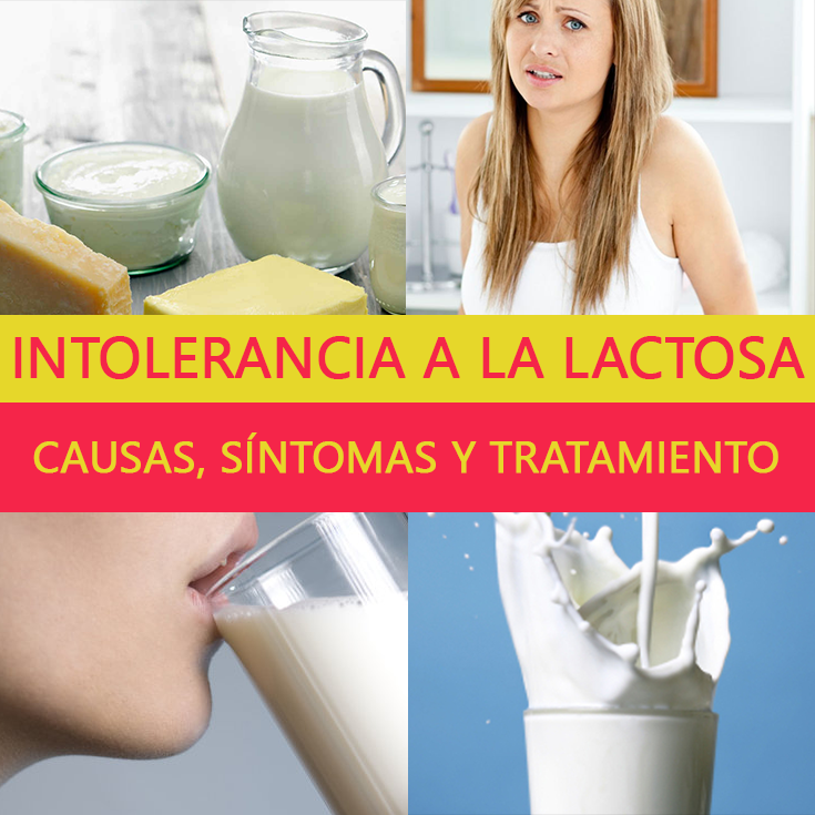 Intolerancia A La Lactosa Causas S Ntomas Y Tratamiento La Gu A De