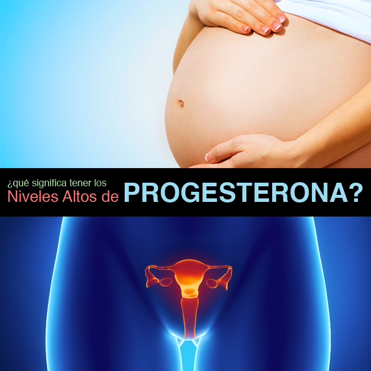 ¿Qué Significa Tener Los Niveles Altos De Progesterona ¿Qué Significa Tener Los Niveles Altos De Progesterona