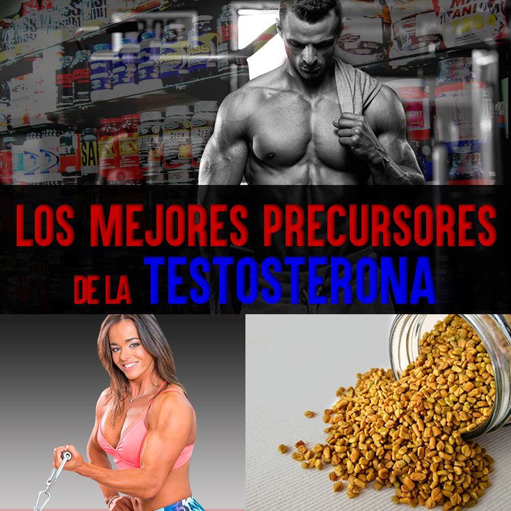 En que las farmacias son comidas el martillo tora