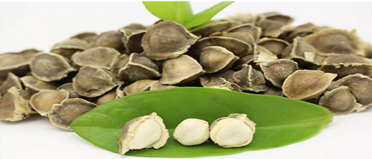 7 Beneficios De La Semilla De Moringa Para Tu Salud - La 7 Beneficios De La Semilla De Moringa Para Tu Salud - La