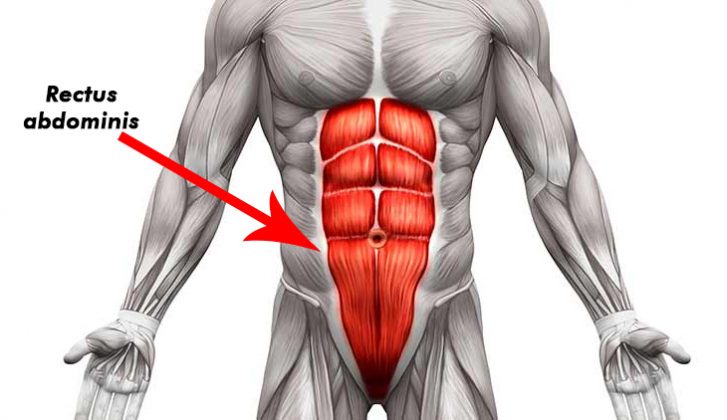 Rutina De Abdominales Los 5 Mejores Ejercicios De Abdomen Para Estar