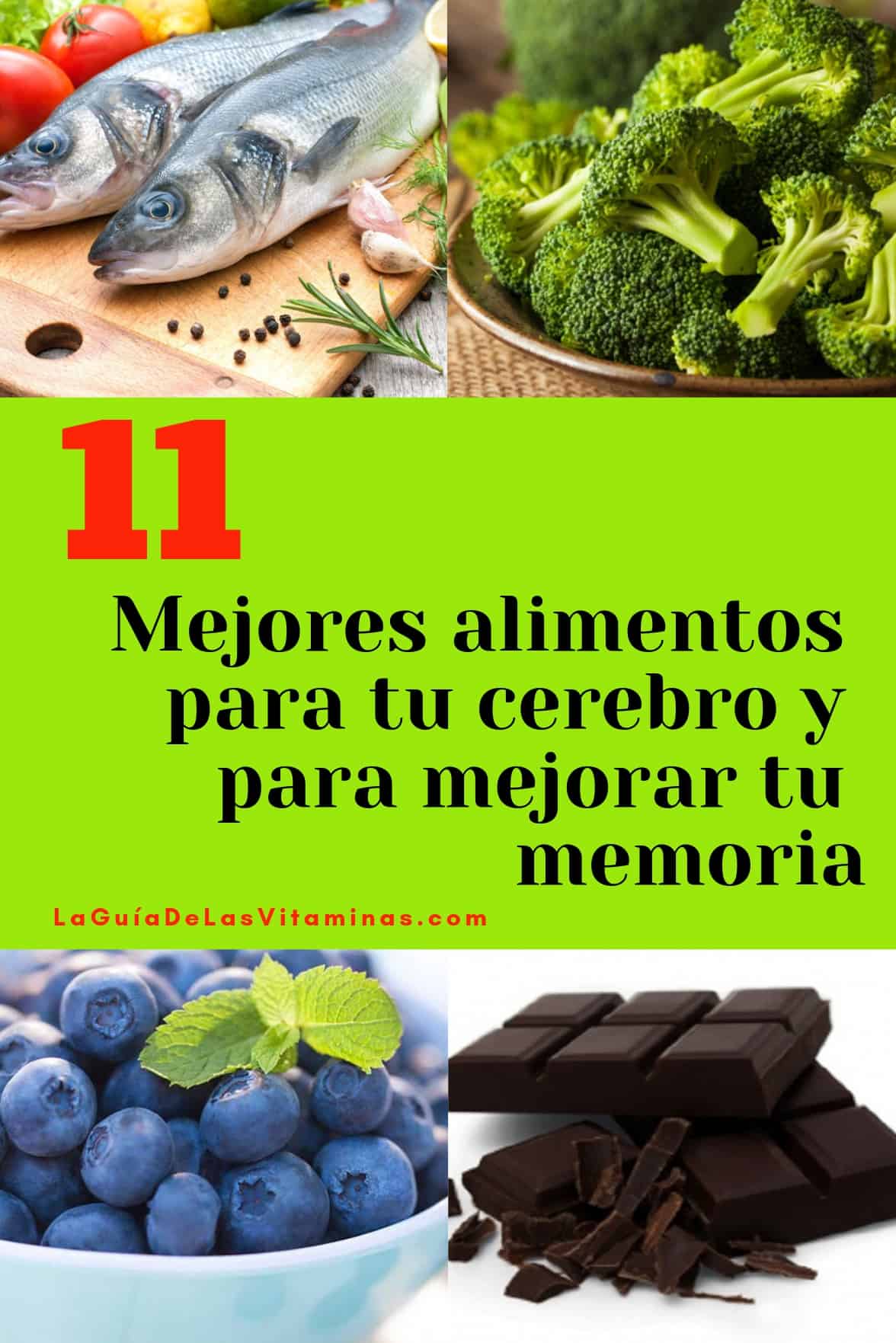 mejores alimentos para tu cerebro y para mejorar tu memoria La Guía de las Vitaminas