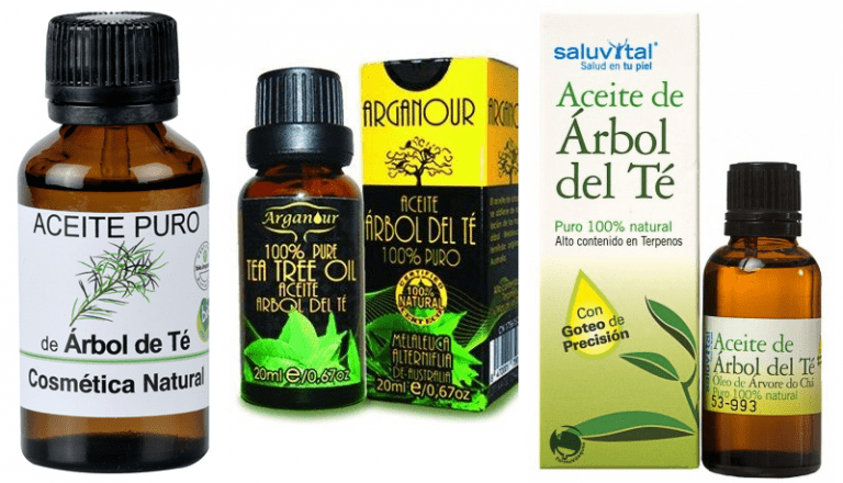 Aceite De Rbol De T Para Qu Sirve Beneficios Peligros Y Efectos