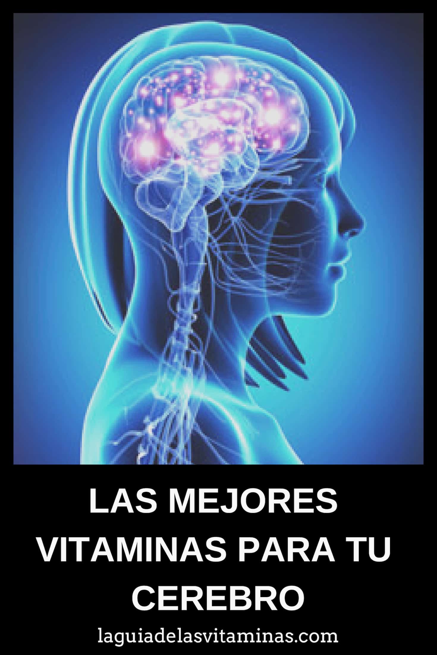 Las Mejores Vitaminas Para Tu Cerebro La Gu A De Las Vitaminas