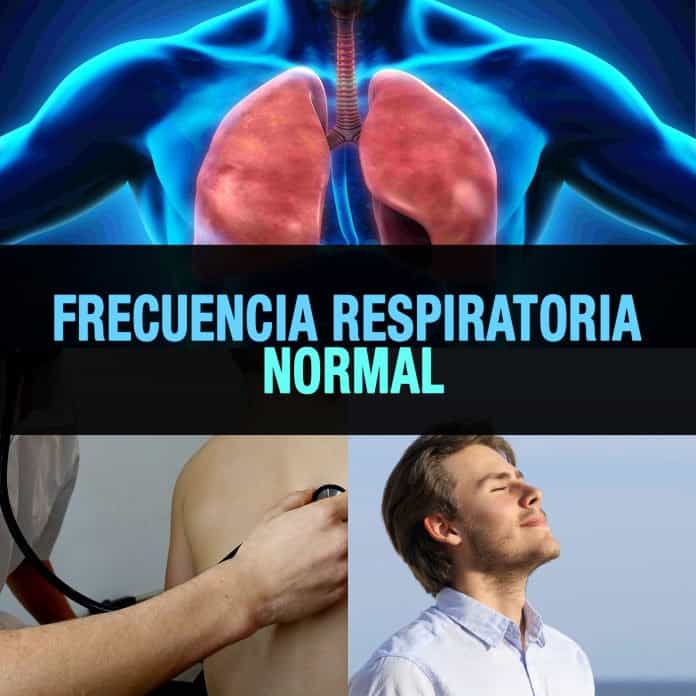 Frecuencia respiratoria normal qué es y cómo se mide La Guía de las