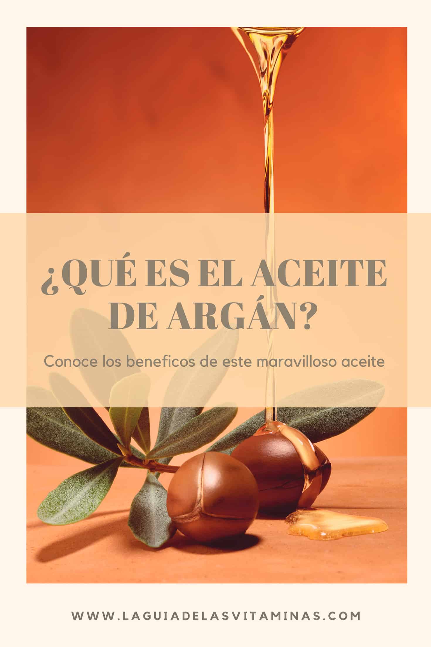 Qu Es El Aceite De Arg N Conoce Los Beneficos De Este Maravilloso