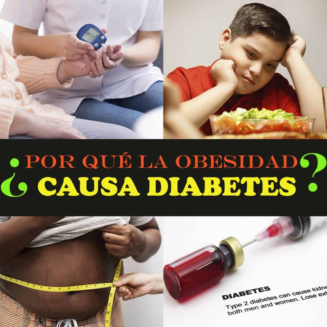 Por qué la obesidad causa diabetes tipo 2 Y cómo prevenirla La