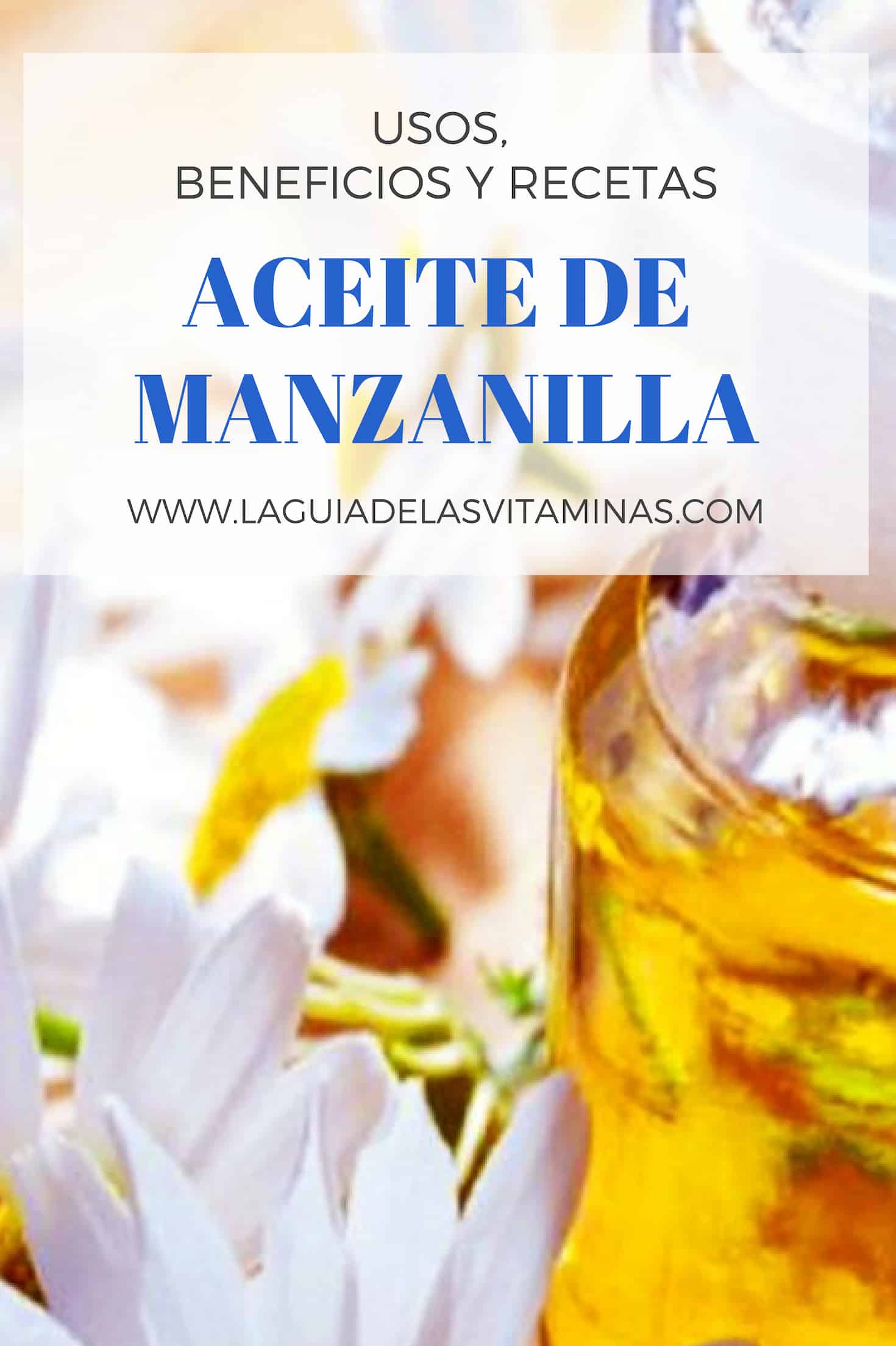 Aceite De Manzanilla Para Qu Sirve Beneficios C Mo Usarlo Recetas