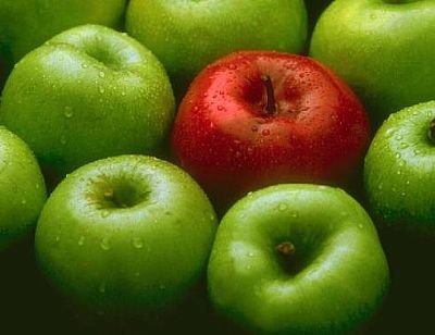 Propiedades de la manzana | La Guía de las Vitaminas