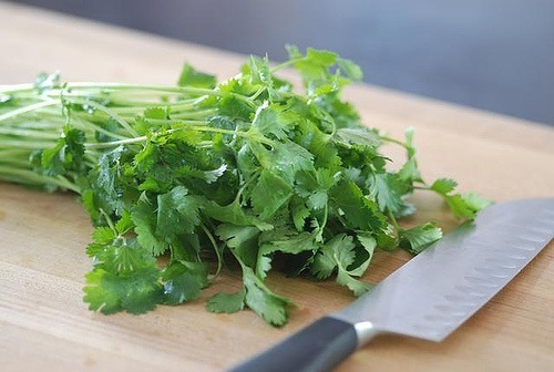 Recomendaciones para aprovechar las propiedades del cilantro | La Guía de las vitaminas