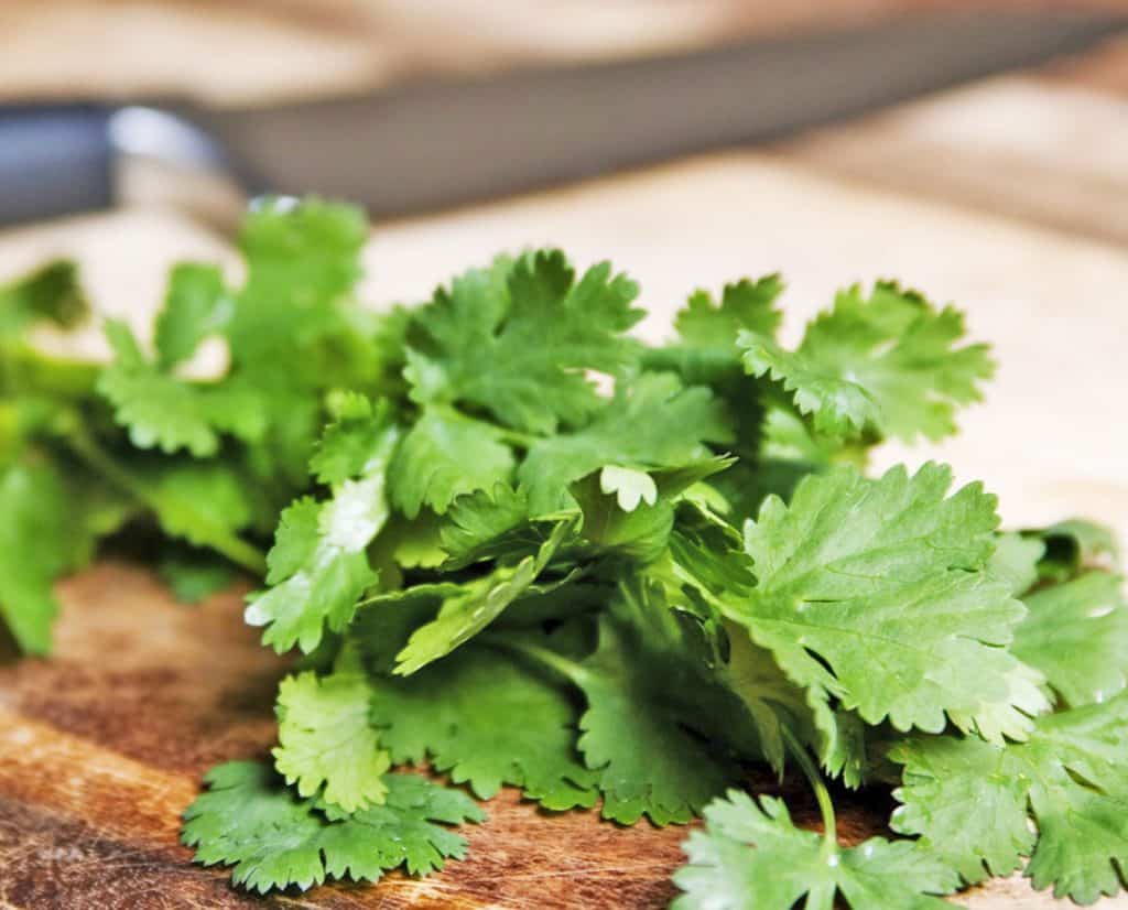 Propiedades Del Cilantro Para Qué Sirve Y Beneficios Para Tu Salud La Guía De Las Vitaminas 3482