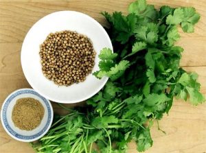 propiedades del cilantro | La Guía de las Vitaminas