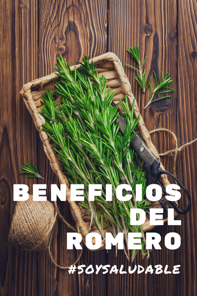 \u00bfPara qu\u00e9 sirve el romero?, 21 beneficios y efectos secundarios - La ...