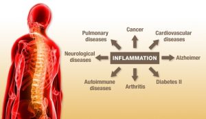 Para qué sirve el Ibuprofeno cómo se metaboliza | La Guía de las Vitaminas