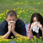 Remedios caseros para la alergia