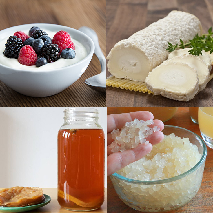 10 Mejores Alimentos Probióticos Que Deberías Estar Comiendo 5761