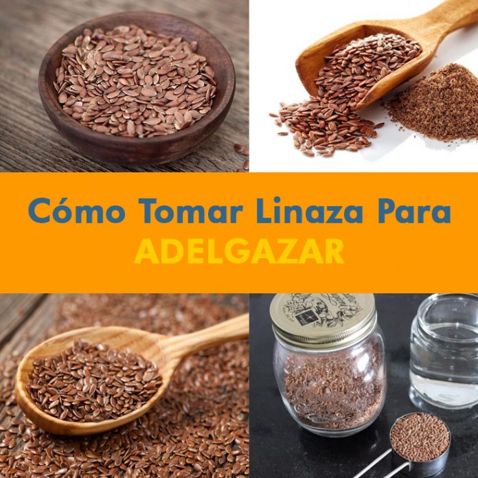 Cómo preparar y tomar la linaza para adelgazar - La Guía de las Vitaminas