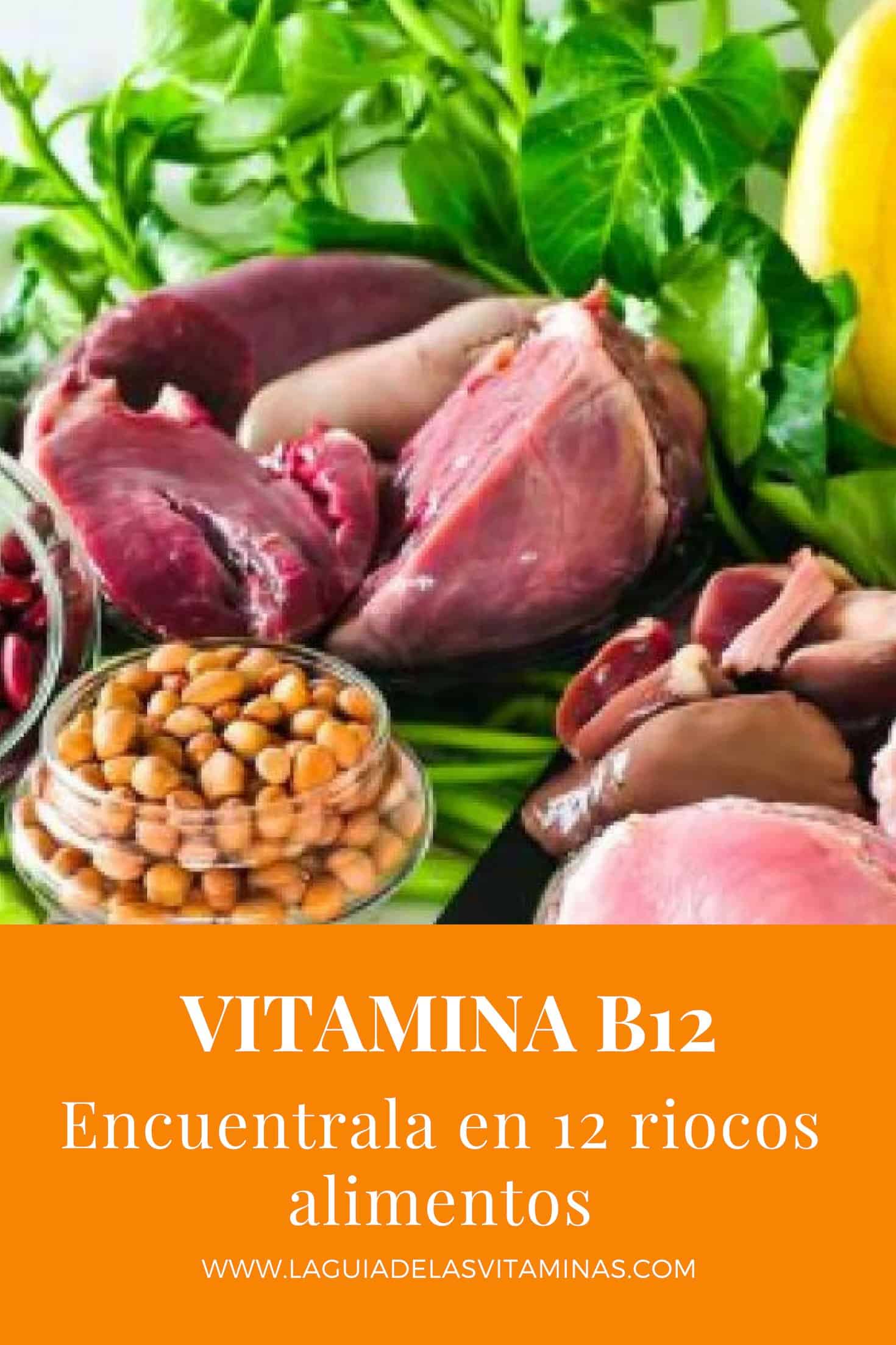 12 Alimentos Ricos En Vitamina B12 1 La Guía De Las Vitaminas 5292