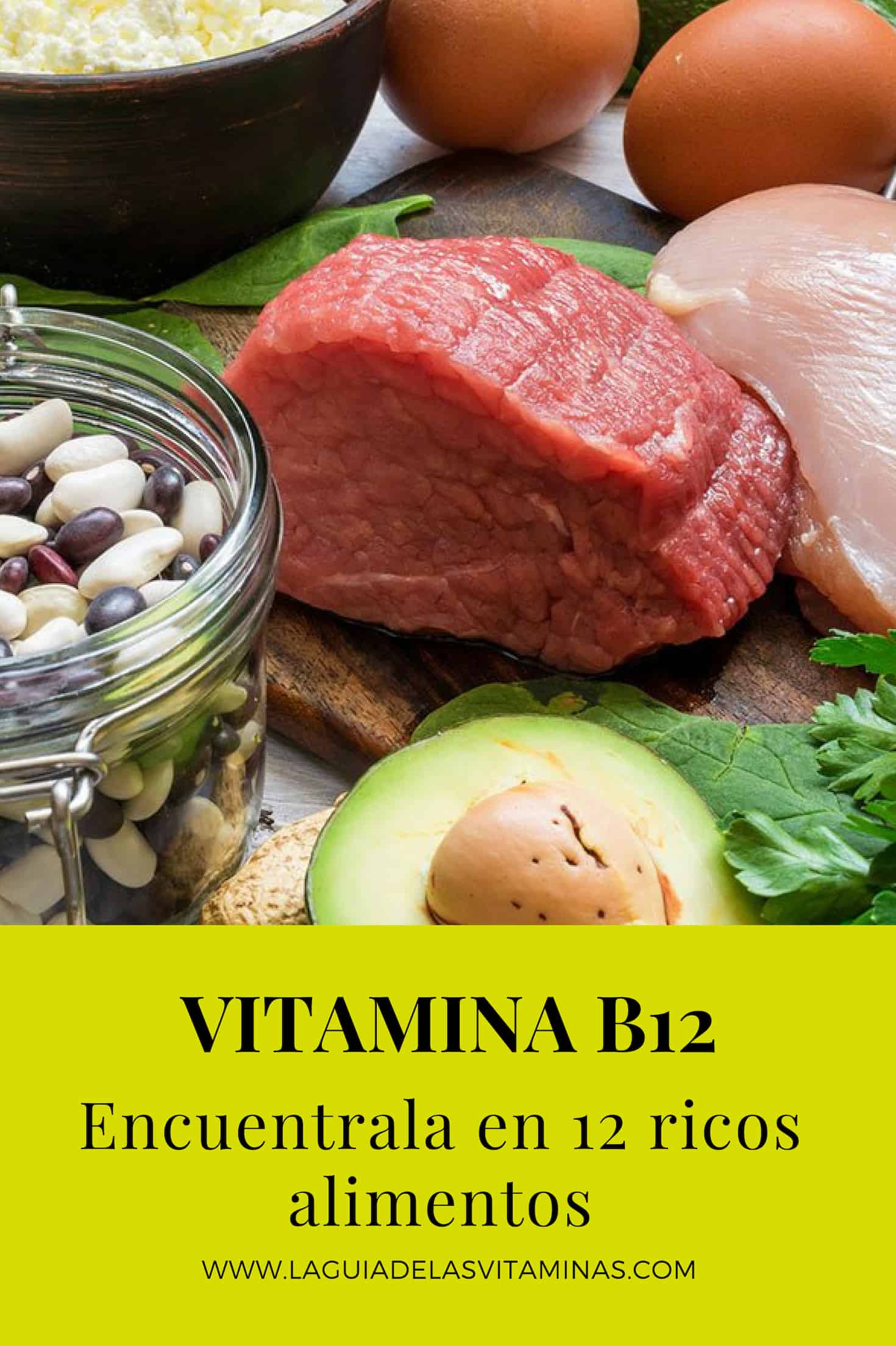 12 alimentos ricos en Vitamina B12 - La Gu\u00eda de las Vitaminas