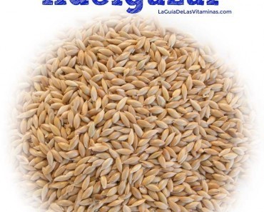 10 Alimentos Proteicos De Origen Vegetal y Animal - La 10 Alimentos Proteicos De Origen Vegetal y Animal - La