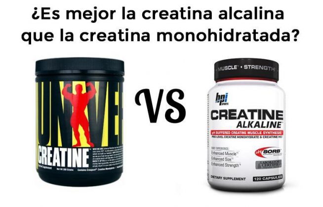 creatina l carnitina buena combinacion