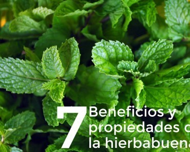 Acquistapace adelgazar conjugation