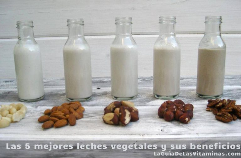 Las 5 mejores leches vegetales y sus beneficios