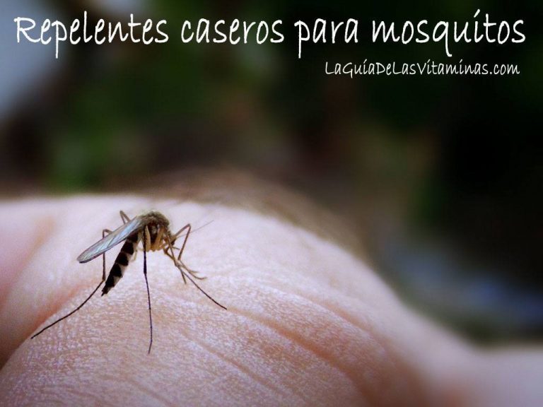 Repelentes caseros para mosquitos
