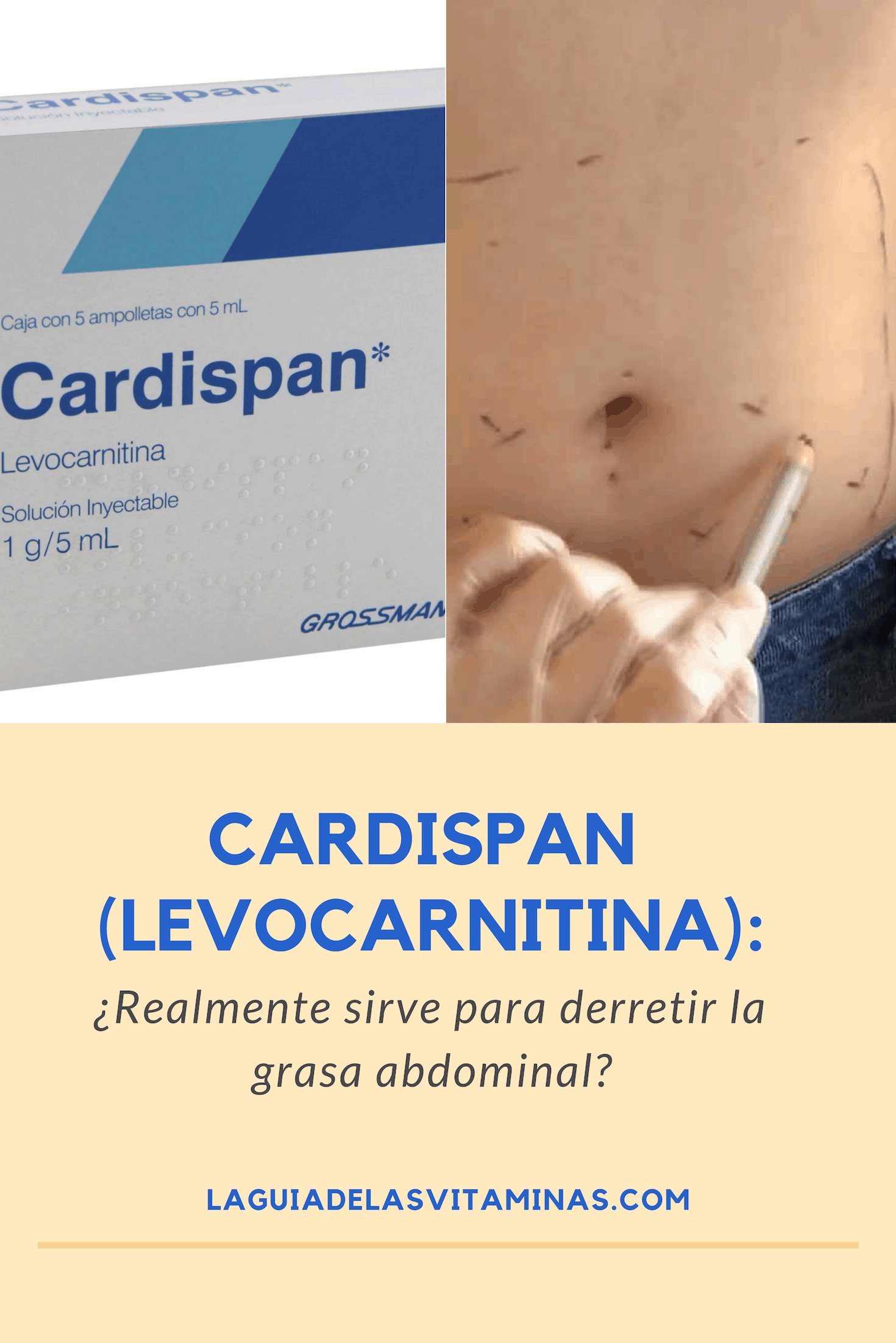 77Cardispan (levocarnitina)_ para qué sirve, beneficios