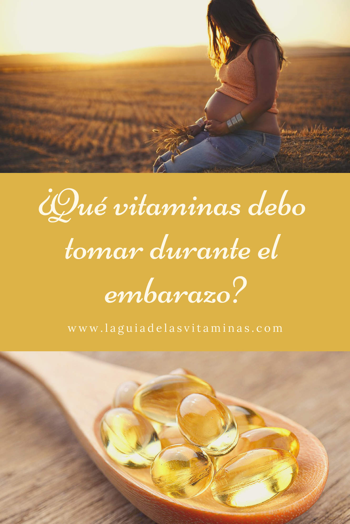 ¿qué Vitaminas Debo Tomar Durante El Embarazo La Guía De Las Vitaminas