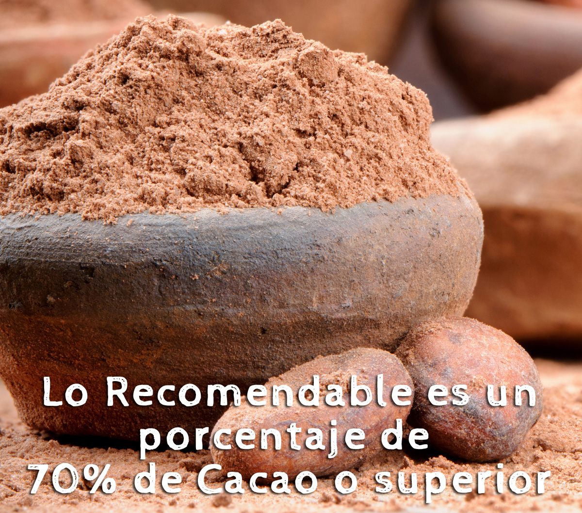 Chocolateenpolvo_cacao La Guía de las Vitaminas
