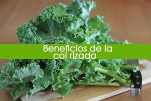 10 Beneficios De La Col Rizada O Kale Para Tu Salud Y Cómo Comerla - La ...