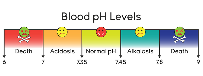 Ph sangre | La Guía de las Vitaminas