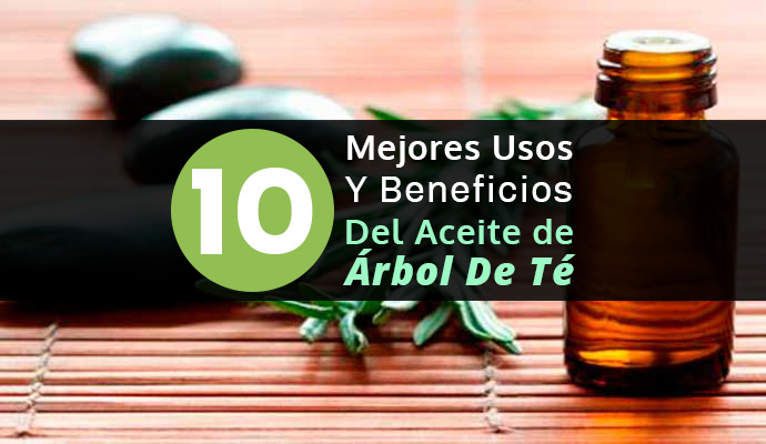 Los 10 Mejores Usos Y Beneficios Del Aceite de Árbol De Té