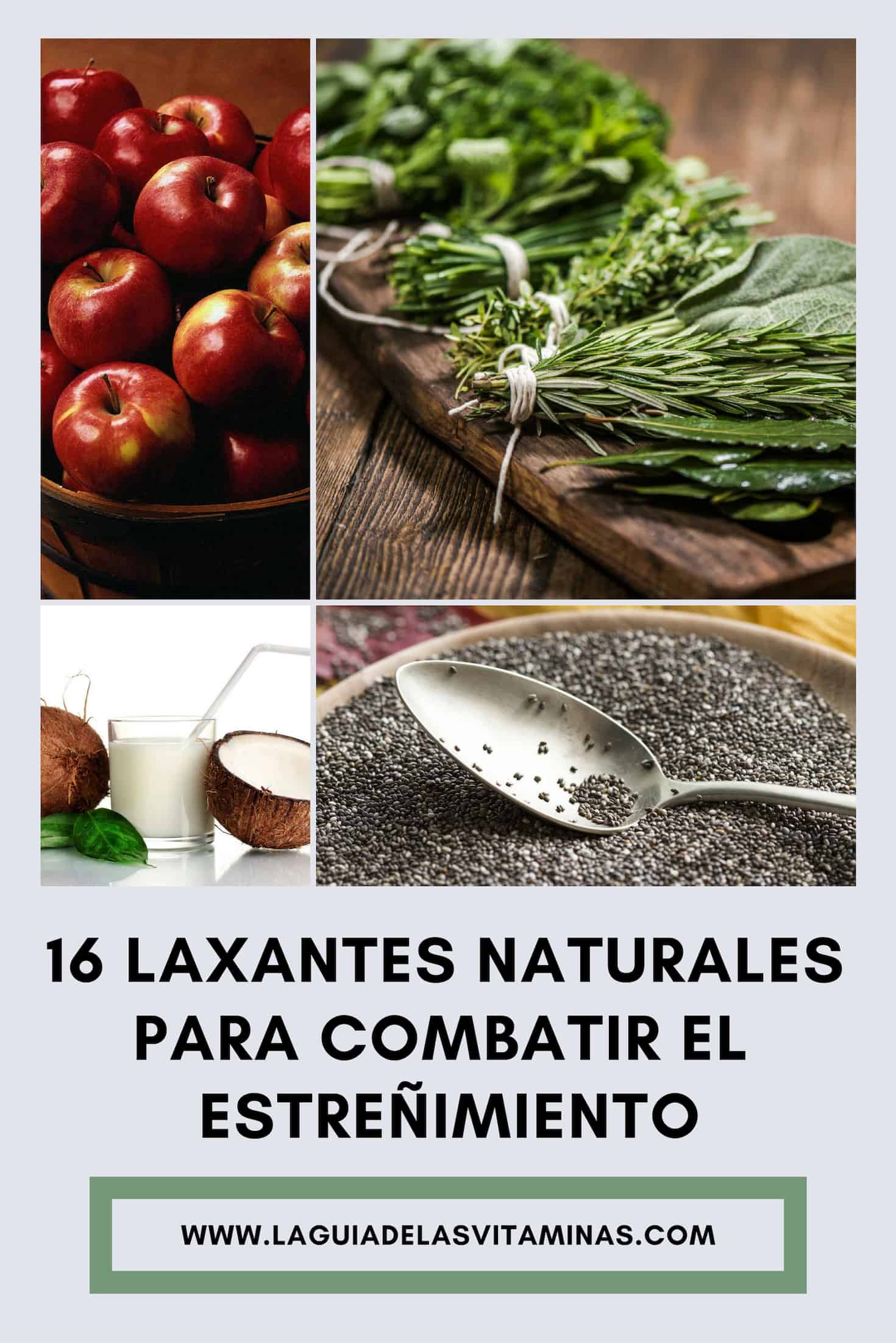 16 Laxantes Naturales Para Combatir El Estreñimiento La Guía De Las Vitaminas 4533