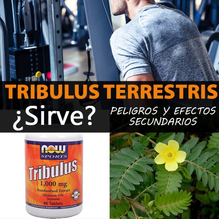 Tribulus terrestris para qué sirve, beneficios, peligros y efectos