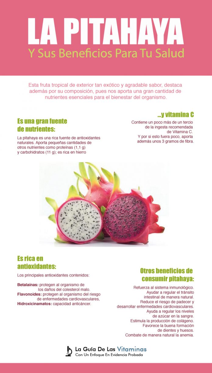 La Pitahaya O Fruta Del Drag N Y Sus Beneficios Para Tu Salud La Gu A De Las Vitaminas